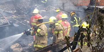 Un hombre prendió fuego su casa luego de intentar quemar un panal de abejas.