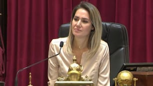 Losada se lamentó porque "en Santa Fe se organizó un ejército de sicarios". Gentileza: El Destape.