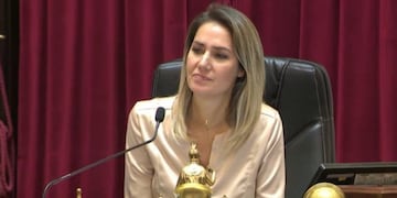 Losada se lamentó porque "en Santa Fe se organizó un ejército de sicarios". Gentileza: El Destape.