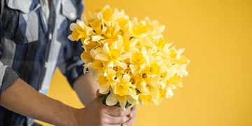 La primavera se festeja con todo: la propuesta de Tulipán.