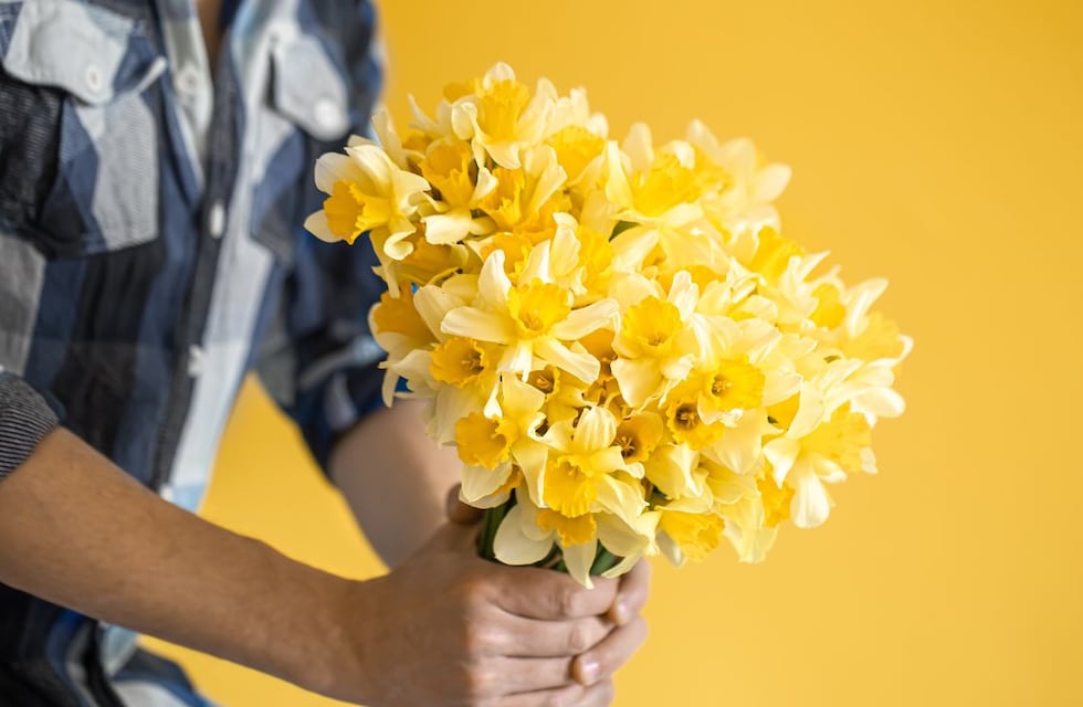 Festejando la primavera: más de 20 marcas lanzaron una plataforma de descuentos