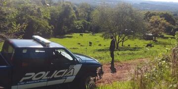 Bajó el índice delictivo rural en Misiones.