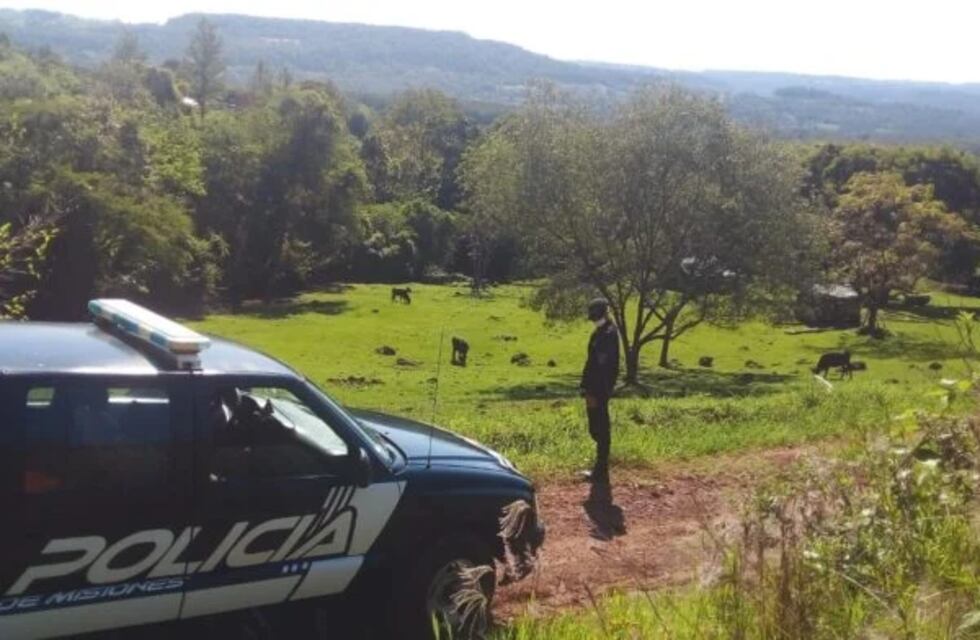Bajó el índice delictivo rural en Misiones