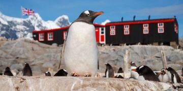 Es sólo por la temporada, que dura cuatro meses. (Instagram: @ukantarcticheritagetrust)