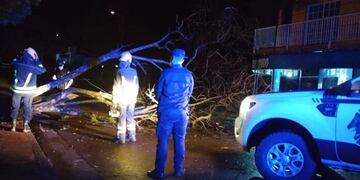 Fuerte temporal afectó a localidades de la Zona Centro de Misiones.