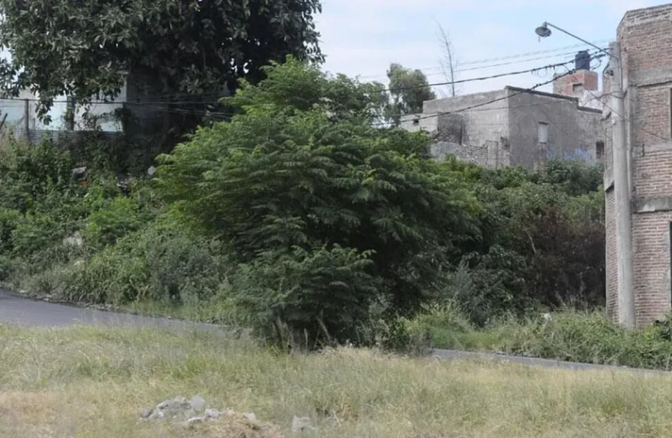 Córdoba: detuvieron a tres personas acusadas de asesinar por encargo a un hombre