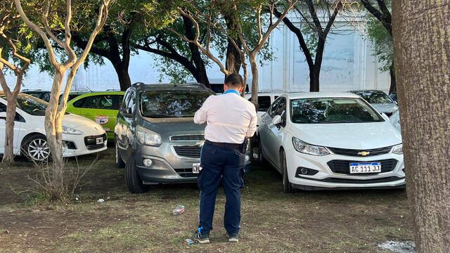 Los inspectores encontraron decenas de vehículos sobre el parque.