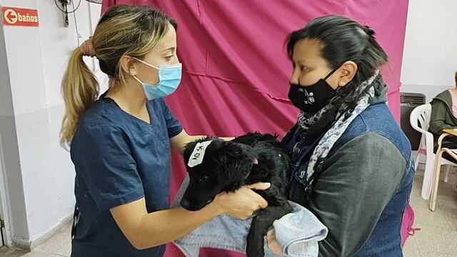 Rafaela amplía su internacionalización