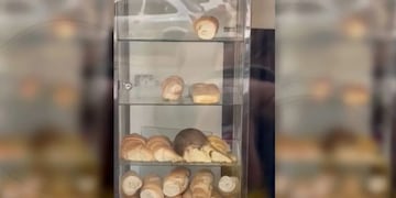 Una rata se volvió viral comiendo una medialuna en una panaderia en Congreso