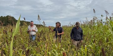 Tres Arroyos se suma a la Red Nacional de Municipios Agroecológicos