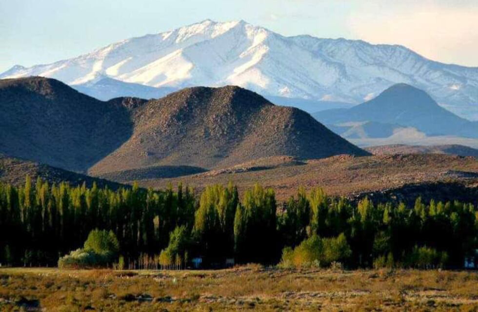 Sorpresa: detuvieron a tres cazadores de piches y uno resultó ser un policía