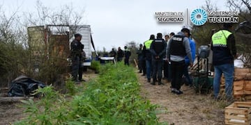 En Trancas secuestraron cerca de mil plantas y plantines de marihuana