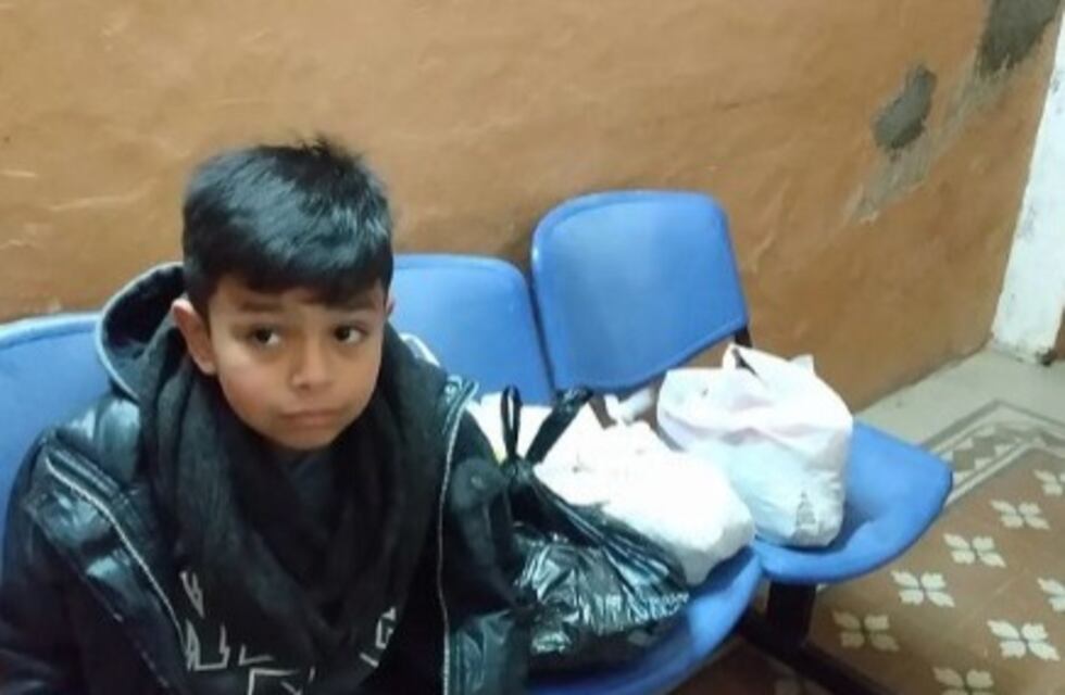 Conmovedor gesto: un niño pidió para su cumpleaños una donación para los perritos de la calle en Monte Cristo