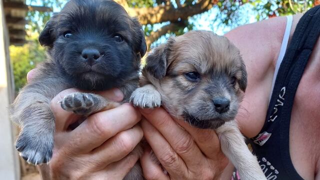 Rifa Corazón de Trapo Arroyito