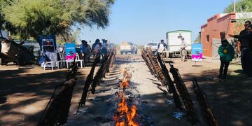 Se realizó el Día de Campo de la Fiesta de la Ganaderia.