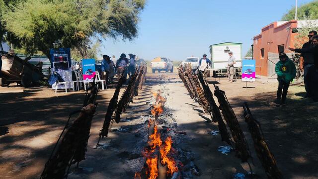 Se realizó el Día de Campo de la Fiesta de la Ganaderia.