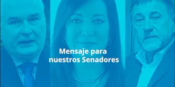 Lanzaron una serie de videos con pedidos y testimonios en contra del aborto legal