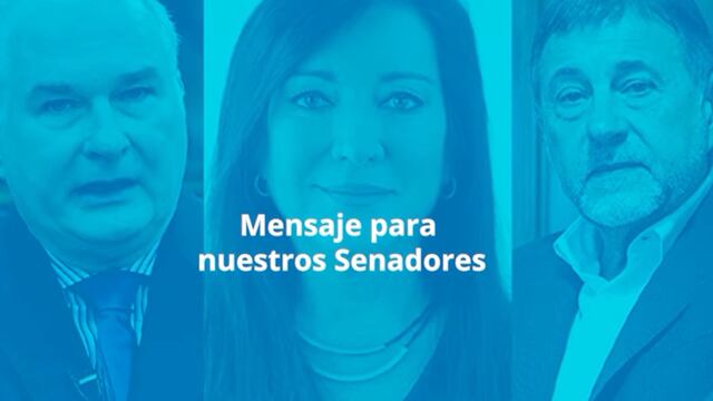 Lanzaron una serie de videos con pedidos y testimonios en contra del aborto legal