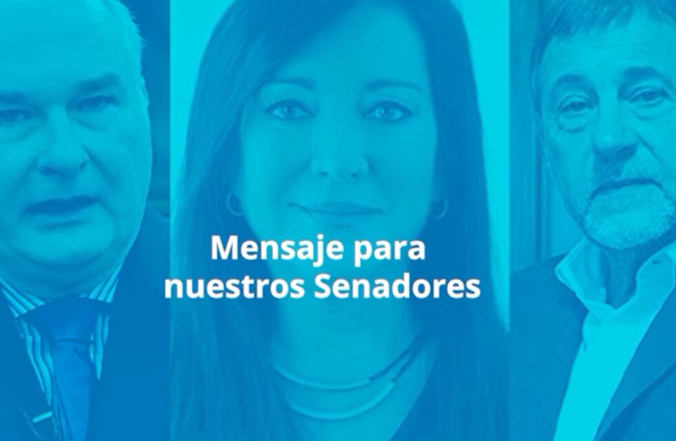 Campaña celeste: le piden a los senadores por Córdoba que voten en contra del aborto