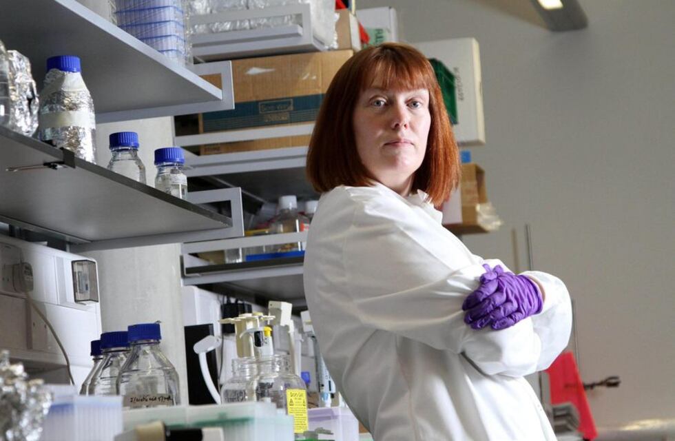 COVID: AstraZeneca anunció avances en un tratamiento para pacientes de riesgo