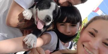 El cachorro se reencontró con su familia luego de que se lo llevaran en el auto que les robaron.