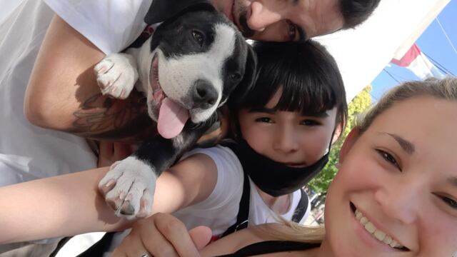 El cachorro se reencontró con su familia luego de que se lo llevaran en el auto que les robaron.