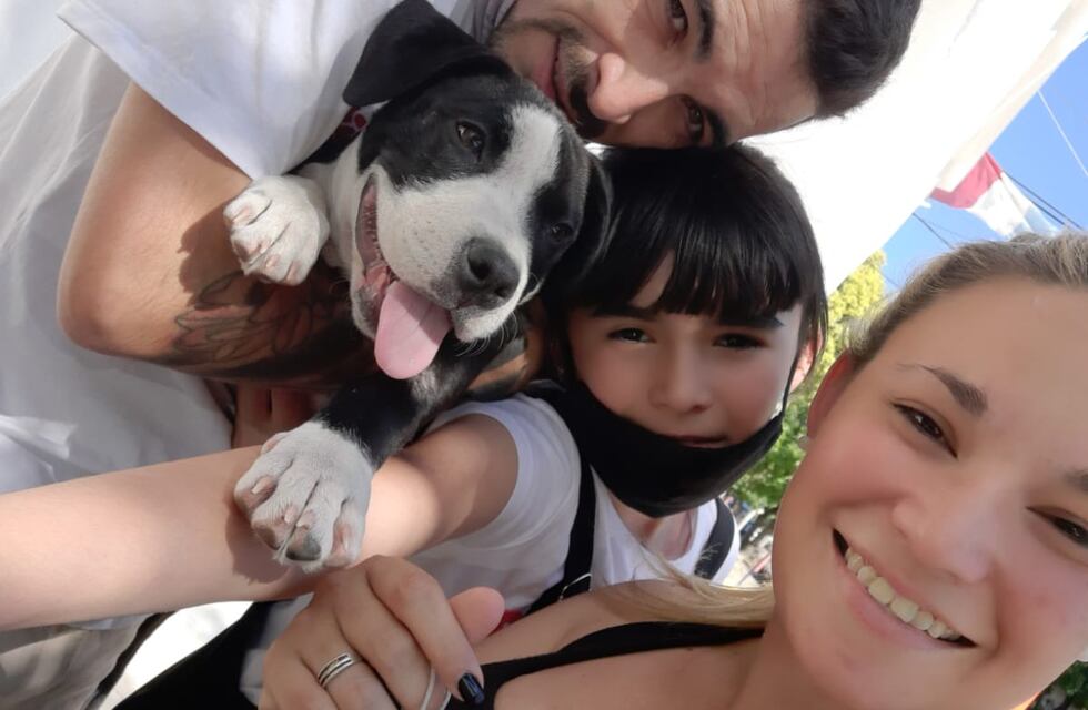 La historia de la familia que se reencontró con su mascota luego de que se la llevaran los ladrones