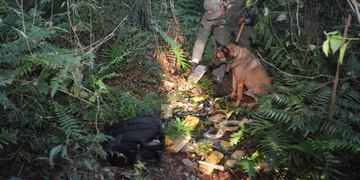 Puerto Esperanza: secuestran cargamento de marihuana en un malezal.