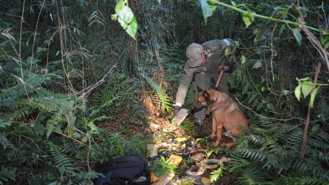 Puerto Esperanza: secuestran cargamento de marihuana en un malezal.