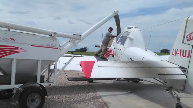 Carga de avión con semillas para siembra