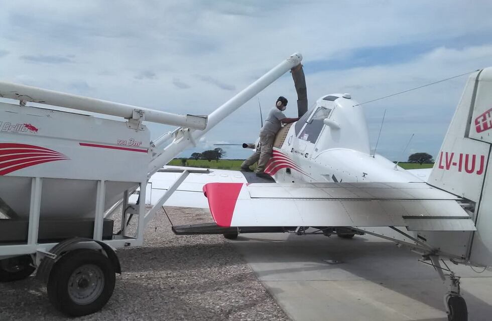 Siembra aérea: buena complementación de la agricultura con la ganadería