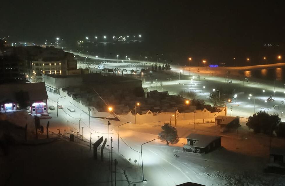 Ushuaia: aconsejan resguardar a los animales de compañía ante las inclemencias climáticas