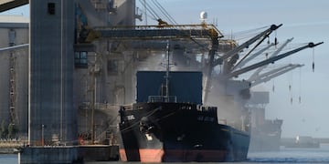 La harina y “pellets” de aceite de soja fueron el principal producto vendido a través de la Aduana de San Lorenzo. (@camaraaceites)