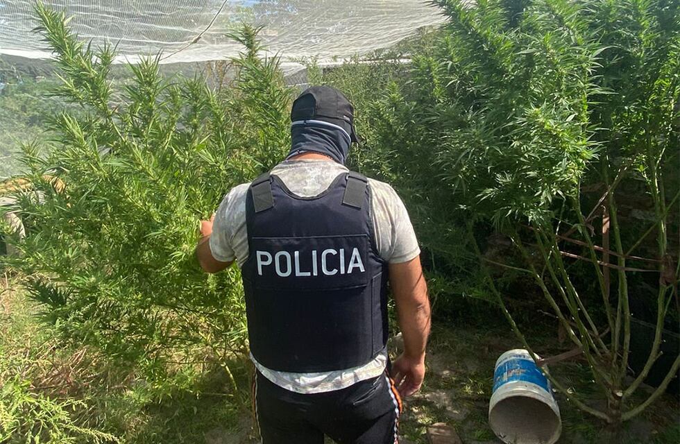 Se prendió fuego su casa en San Juan y terminó detenido por el olor que había: tenía plantas de marihuana