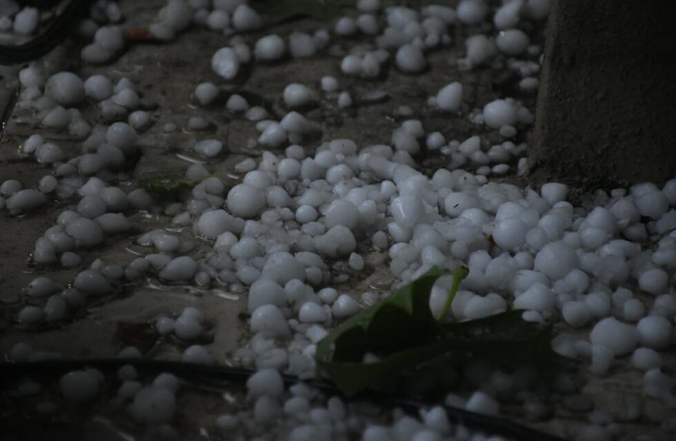Catarsis en las redes por los daños tras el paso de la tormenta en Mendoza