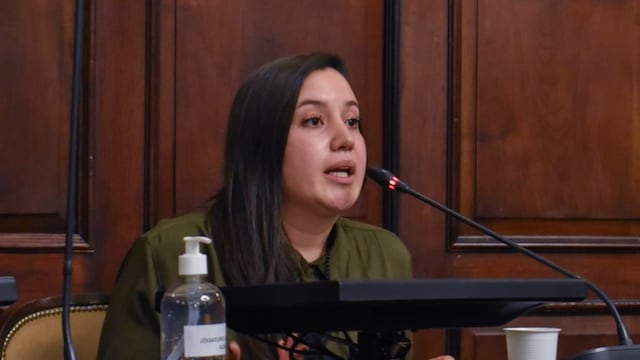 Paula Zelaya (UCR), es la flamante presidenta e la comisión especial de Especial de Género y Erradicación de Trata de Personas en la Cámara de Diputados.