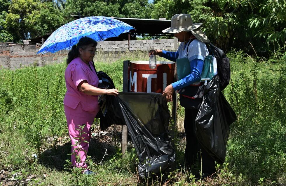 Dengue en Jujuy: murió una paciente que presentaba factores de riesgo