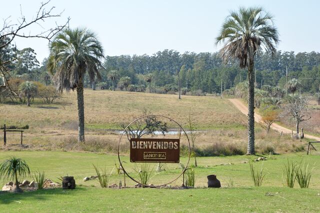La Angélica clasificada a la instancia final en la que competirá representando al país ante Uruguay y Paraguay.