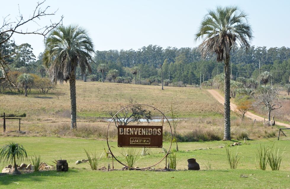 Concordia: “La Angélica”, hotel sustentable que participa de un concurso a nivel internacional