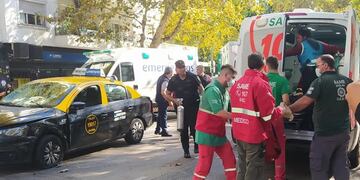 El hecho ocurrió en cercanías del Jardín Botánico de la Ciudad de Buenos Aires. (Gentileza Infobae)