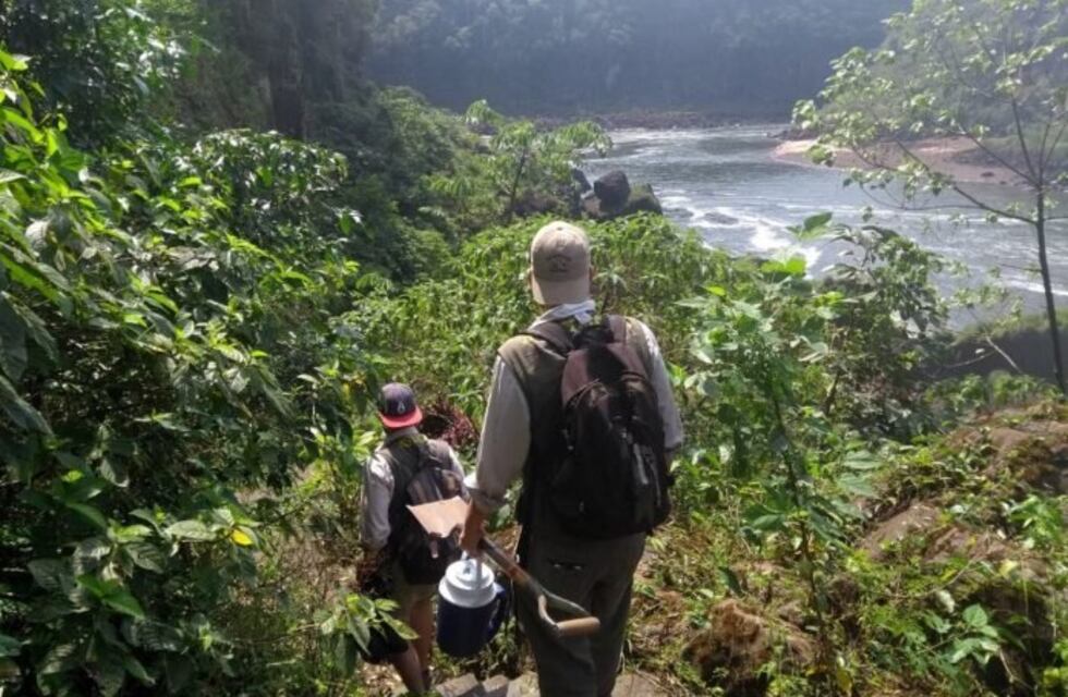Descubren yacimientos que podrían ser de épocas pre-guaraníticas en las Cataratas del Iguazú