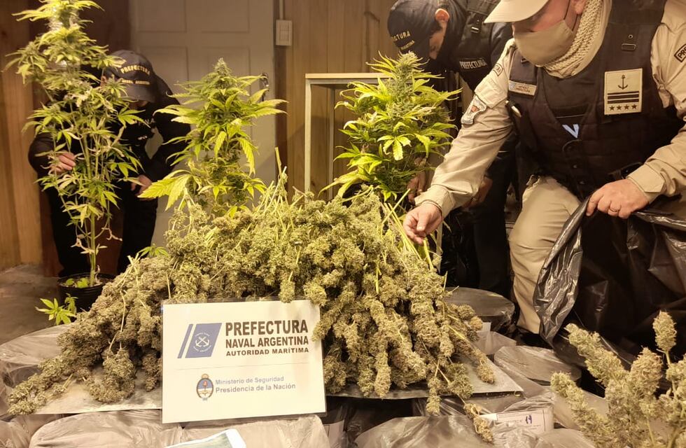 Dos invernaderos de plantación de marihuana fueron desarticulados en Los Antiguos por la PNA