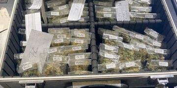 Son más de mil las dosis de marihuana secuestradas.