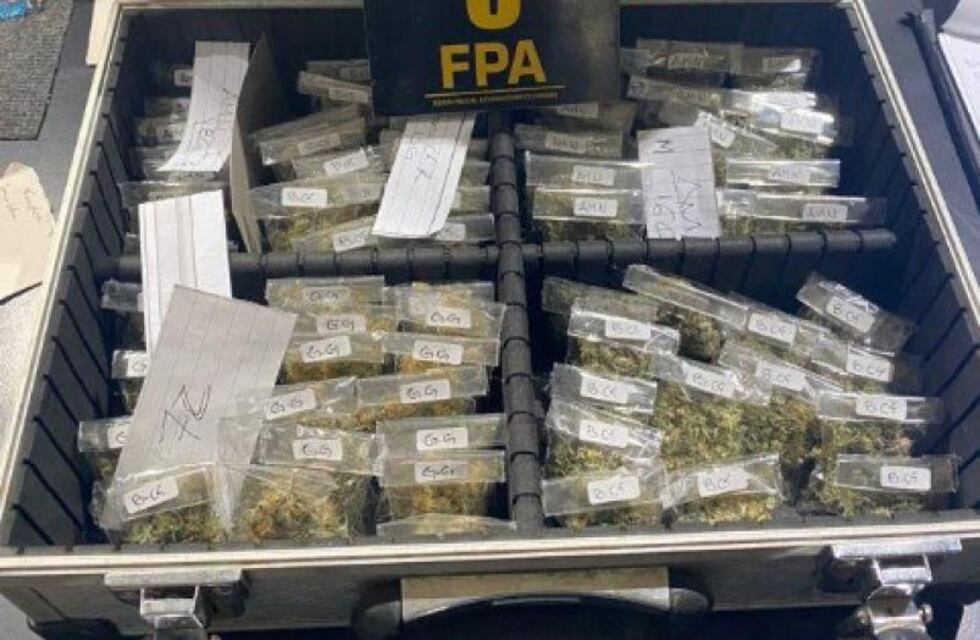Insólito en Córdoba: construyó una habitación secreta para esconder un invernadero de marihuana