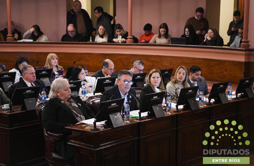 Media sanción en Diputados para la adhesión de Entre Ríos a la Ley Olimpia sobre violencia de género digital