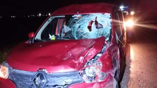Un matrimonio impactó contra un inesperado animal en la autopista Córdoba-Rosario.