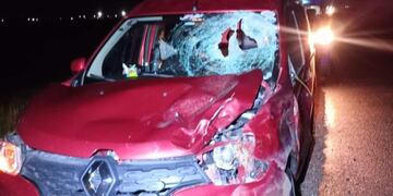 Un matrimonio impactó contra un inesperado animal en la autopista Córdoba-Rosario.