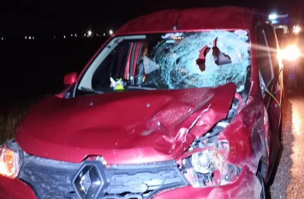 Viajaban por la autopista Córdoba-Rosario y chocaron contra un inesperado animal