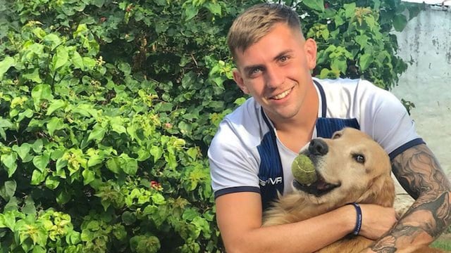 El labrador que se hizo viral por ayudar con un asado en Córdoba.