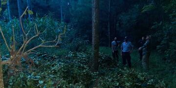 Intento de robo de yerba mate